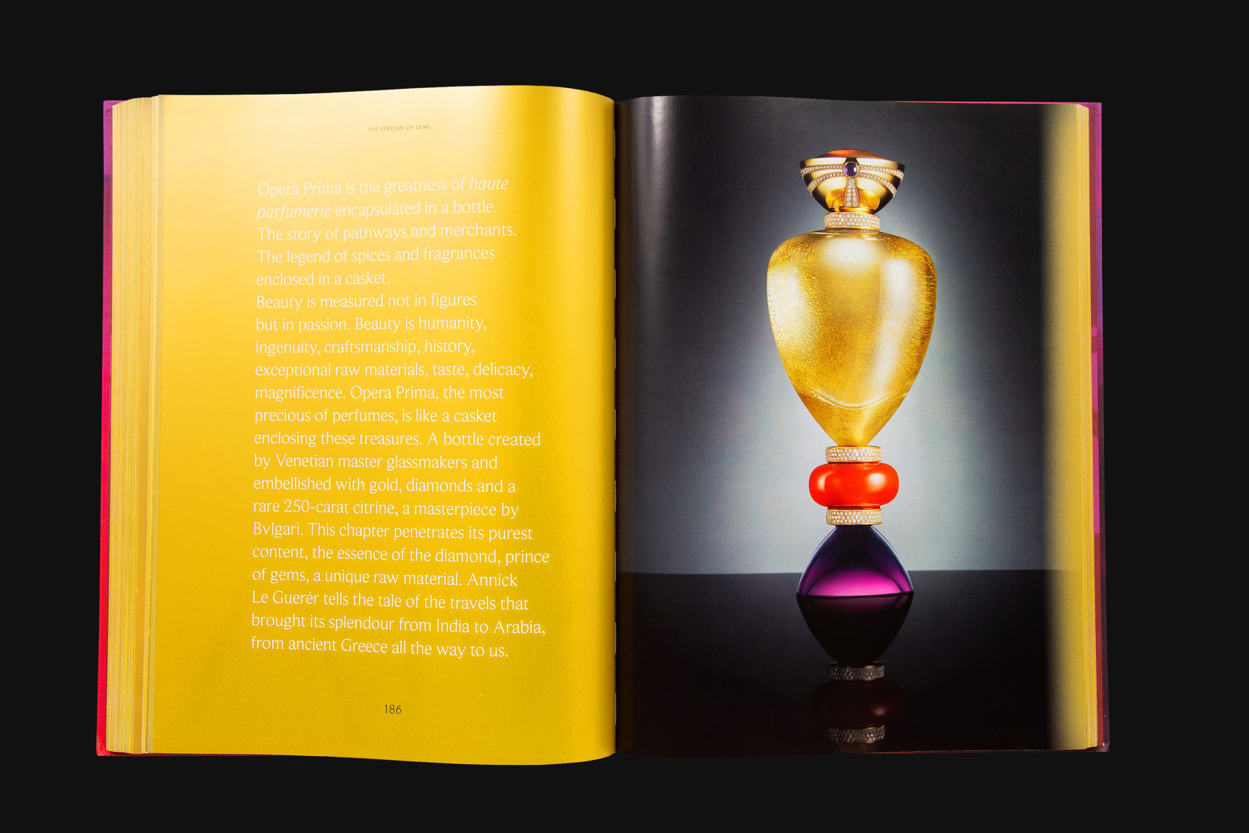 IH6A5819-2 copia copia