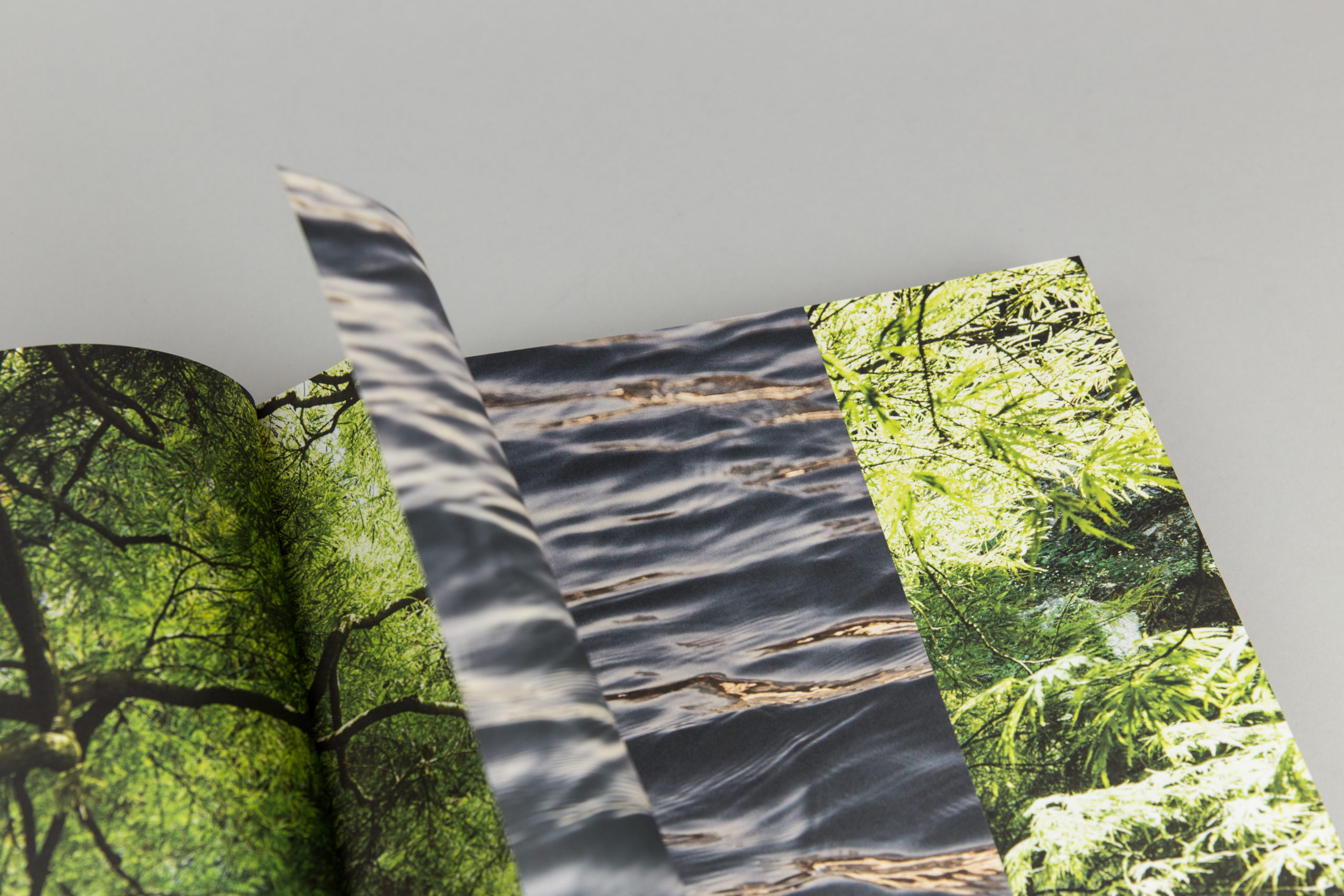 Romeo Sozzi & Promemoria