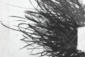 Schermata 2019-07-18 alle 15.46.20